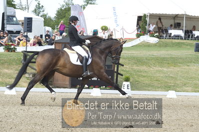 Dm - Uwm iagttagelse - Paradressur
uwm 5års iagttagelses klasse
Nøgleord: simone pearce;lindballe's just perfect