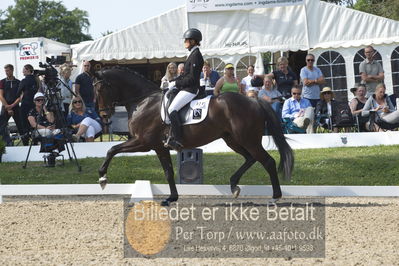 Dm - Uwm iagttagelse - Paradressur
uwm 5års iagttagelses klasse
Nøgleord: lotte wiuff straarip;bournonville