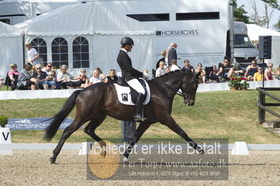 Dm - Uwm iagttagelse - Paradressur
uwm 5års iagttagelses klasse
Nøgleord: lotte wiuff straarip;bournonville