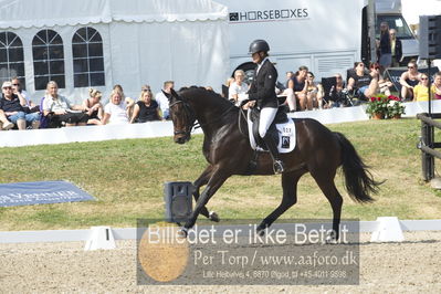 Dm - Uwm iagttagelse - Paradressur
uwm 5års iagttagelses klasse
Nøgleord: lotte wiuff straarip;bournonville