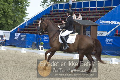 Dm - Uwm iagttagelse - Paradressur
fei 6års iagttagelses klasse til uwn
Nøgleord: maria n kristensen;brianna