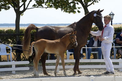 følchampionat 2018
Billeder frafølchampionat 2018
Nøgleord: mister robbie;k18-044
