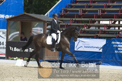 Dm - Uwm iagttagelse - Paradressur
fei 6års iagttagelses klasse til uwn
Nøgleord: kenneth  damgaard;stenagers wyatt earp