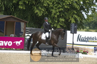 Dm - Uwm iagttagelse - Paradressur
fei 7års iagttagelses klasse til uwn
Nøgleord: jim rasmussen;polka sensation nexen