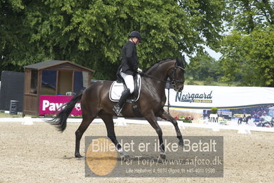 Dm - Uwm iagttagelse - Paradressur
fei 7års iagttagelses klasse til uwn
Nøgleord: jim rasmussen;polka sensation nexen