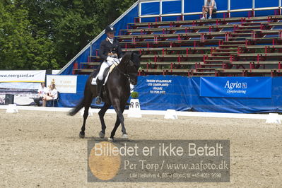 Dm - Uwm iagttagelse - Paradressur
fei 7års iagttagelses klasse til uwn
Nøgleord: maria anita andersen;thybo's laban