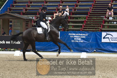 Dm - Uwm iagttagelse - Paradressur
fei 7års iagttagelses klasse til uwn
Nøgleord: maria anita andersen;thybo's laban