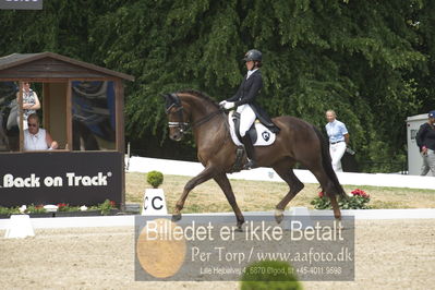 Dm - Uwm iagttagelse - Paradressur
fei 7års iagttagelses klasse til uwn
Nøgleord: carina cassøe krüth;red diamant