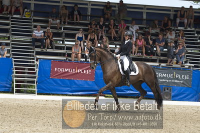 Dm - Uwm iagttagelse - Paradressur
fei 7års iagttagelses klasse til uwn
Nøgleord: carina cassøe krüth;red diamant