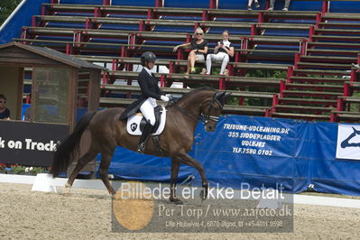 Dm - Uwm iagttagelse - Paradressur
fei 7års iagttagelses klasse til uwn
Nøgleord: carina cassøe krüth;red diamant