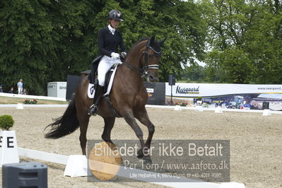 Dm - Uwm iagttagelse - Paradressur
fei 7års iagttagelses klasse til uwn
Nøgleord: carina cassøe krüth;red diamant