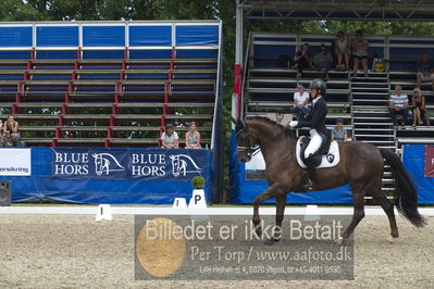 Dm - Uwm iagttagelse - Paradressur
fei 7års iagttagelses klasse til uwn
Nøgleord: carina cassøe krüth;red diamant