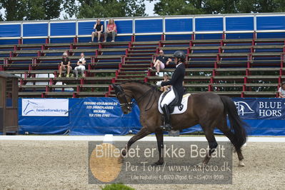 Dm - Uwm iagttagelse - Paradressur
fei 7års iagttagelses klasse til uwn
Nøgleord: carina cassøe krüth;red diamant