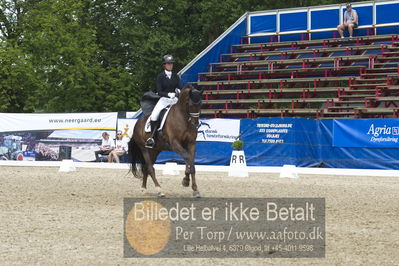 Dm - Uwm iagttagelse - Paradressur
fei 7års iagttagelses klasse til uwn
Nøgleord: carina cassøe krüth;red diamant