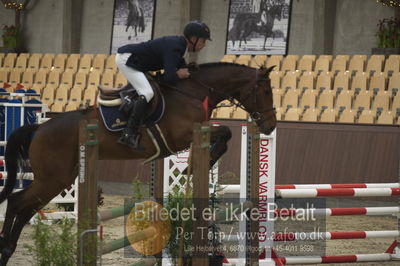 Dansk Rideforbunds Championats finaler 201
Dansk Rideforbunds Championats finaler 2018 - spring
Nøgleord: mb champagne;morten bennetsen