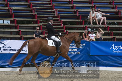 Dm - Uwm iagttagelse - Paradressur
Dm paradressur
Nøgleord: katrine kristensen;welldone dallas