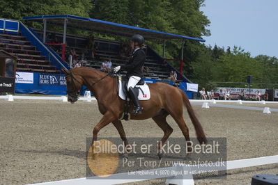 Dm - Uwm iagttagelse - Paradressur
Dm paradressur
Nøgleord: katrine kristensen;welldone dallas