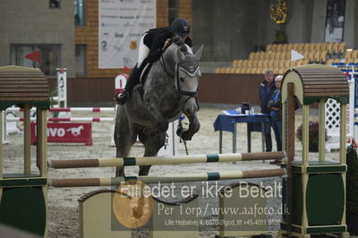 Dansk Rideforbunds Championats finaler 201
Dansk Rideforbunds Championats finaler 2018 - spring
Nøgleord: union star z;nina gjertsen