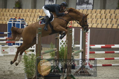 Dansk Rideforbunds Championats finaler 201
Dansk Rideforbunds Championats finaler 2018 - spring
Nøgleord: elmegårdens  dakota;torben frandsen