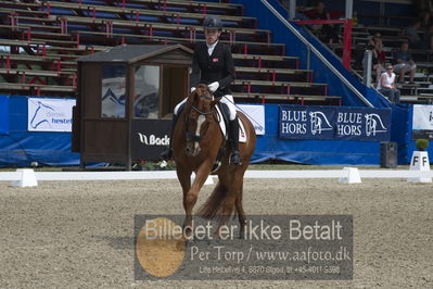 Dm - Uwm iagttagelse - Paradressur
Dm paradressur
Nøgleord: katrine kristensen;welldone dallas