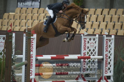 Dansk Rideforbunds Championats finaler 201
Dansk Rideforbunds Championats finaler 2018 - spring
Nøgleord: elmegårdens  dakota;torben frandsen