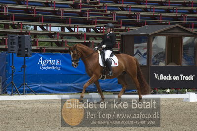 Dm - Uwm iagttagelse - Paradressur
Dm paradressur
Nøgleord: katrine kristensen;welldone dallas