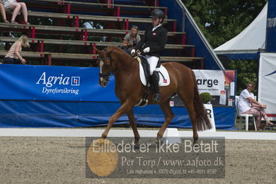 Dm - Uwm iagttagelse - Paradressur
Dm paradressur
Nøgleord: katrine kristensen;welldone dallas