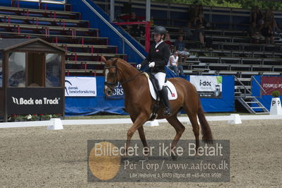 Dm - Uwm iagttagelse - Paradressur
Dm paradressur
Nøgleord: katrine kristensen;welldone dallas