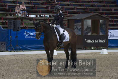 Dm - Uwm iagttagelse - Paradressur
Dm paradressur
Nøgleord: malene høj sommerlund;grandalgaards moon dancer