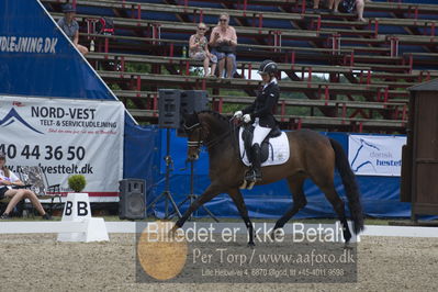 Dm - Uwm iagttagelse - Paradressur
Dm paradressur
Nøgleord: malene høj sommerlund;grandalgaards moon dancer