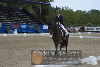 Dm - Uwm iagttagelse - Paradressur
Dm paradressur
Nøgleord: malene høj sommerlund;grandalgaards moon dancer