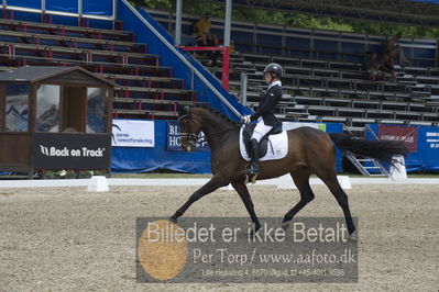 Dm - Uwm iagttagelse - Paradressur
Dm paradressur
Nøgleord: malene høj sommerlund;grandalgaards moon dancer