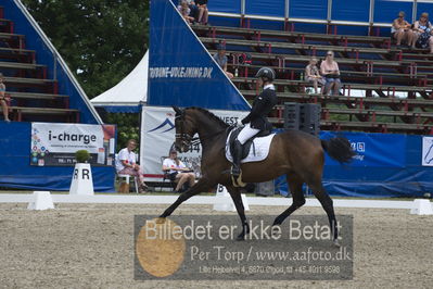 Dm - Uwm iagttagelse - Paradressur
Dm paradressur
Nøgleord: malene høj sommerlund;grandalgaards moon dancer