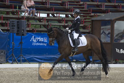 Dm - Uwm iagttagelse - Paradressur
Dm paradressur
Nøgleord: malene høj sommerlund;grandalgaards moon dancer