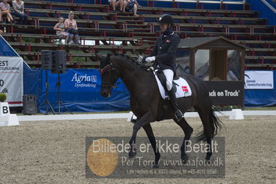 Dm - Uwm iagttagelse - Paradressur
Dm paradressur
Nøgleord: bruunholms caribian;tobias thorning jørgensen
