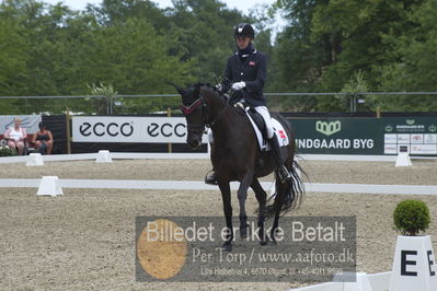Dm - Uwm iagttagelse - Paradressur
Dm paradressur
Nøgleord: bruunholms caribian;tobias thorning jørgensen