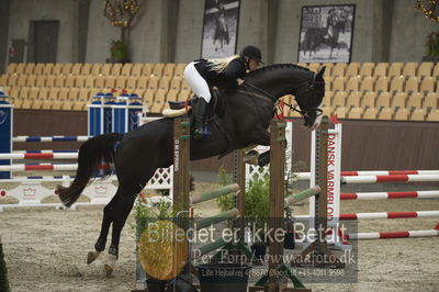 Dansk Rideforbunds Championats finaler 201
Dansk Rideforbunds Championats finaler 2018 - spring
Nøgleord: lancett ln;josephine bøgh