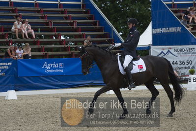 Dm - Uwm iagttagelse - Paradressur
Dm paradressur
Nøgleord: bruunholms caribian;tobias thorning jørgensen