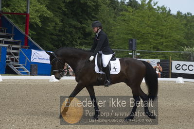 Dm - Uwm iagttagelse - Paradressur
Dm paradressur
Nøgleord: anne mette hasselstrøm;max