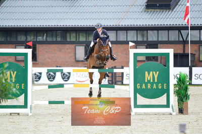 Nøgleord: anna persson;camelon;cp