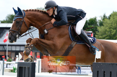 Nøgleord: lars trier kjøller;royal butterfly;volstrups cash*cp