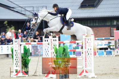 Nøgleord: Jessica vinther jensen;hilton des bruyeres;volstrups cash*cp