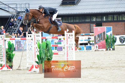 Nøgleord: lars trier kjøller;royal butterfly;volstrups cash*cp