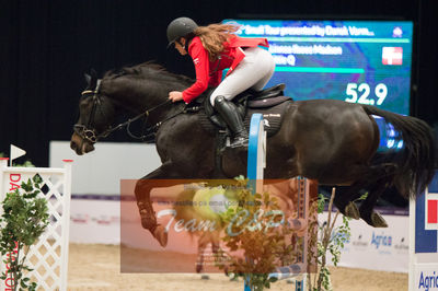 Nøgleord: linnea ilosee madsen;little q