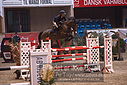 AA9_7178.JPG