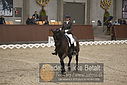 Filnavn=DSC_0094.JPG
Filstørrelse=358KiB
Dimensioner=1224x817
Dato for tilføjelse=%09 %363, %2018 DSC_0094.JPG