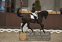 Filnavn=DSC_0100.JPG
Filstørrelse=316KiB
Dimensioner=1224x817
Dato for tilføjelse=%09 %363, %2018 DSC_0100.JPG
