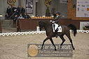 Filnavn=DSC_0106.JPG
Filstørrelse=331KiB
Dimensioner=1224x817
Dato for tilføjelse=%09 %363, %2018 DSC_0106.JPG