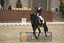 Filnavn=DSC_0276.JPG
Filstørrelse=347KiB
Dimensioner=1224x817
Dato for tilføjelse=%09 %365, %2018 DSC_0276.JPG