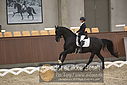 Filnavn=DSC_0295.JPG
Filstørrelse=312KiB
Dimensioner=1224x817
Dato for tilføjelse=%09 %365, %2018 DSC_0295.JPG
